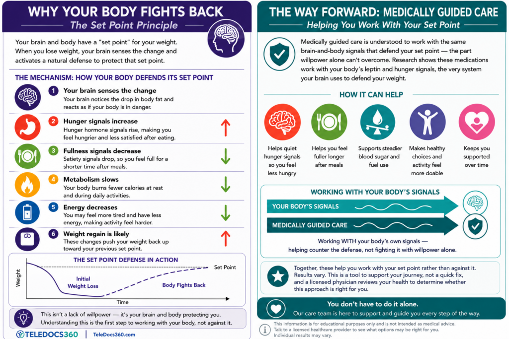 What Is Your Body’s ‘Set Point’? 1 Infographic: the set point principle — why your body defends its weight and how medically guided care works with your body’s signals.